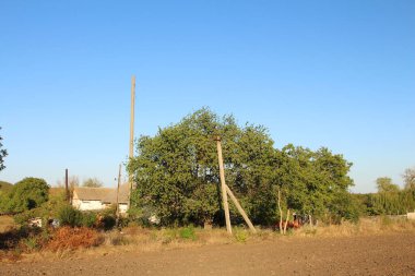 Yazın ağaçlar ve otlarla dolu kırsal alan