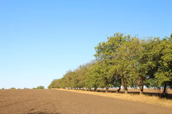 Doğanın güzel manzarası