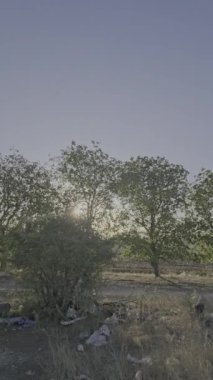 Ağaçların ortasındaki terk edilmiş eski köy.