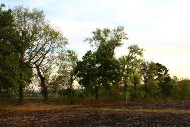 Doğanın güzel manzarası