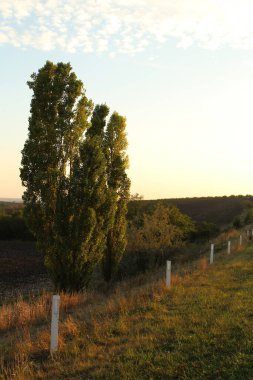 Güzel sonbahar manzarası, doğa, seyahat