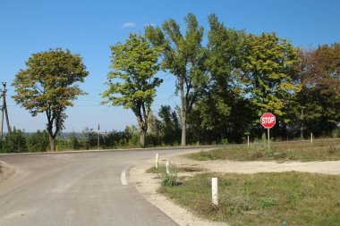 Yazın kır yolu ve ağaçlar