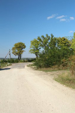 kırsal yol ve ağaçlar