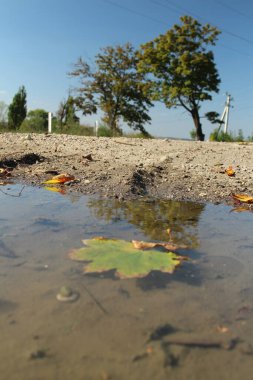 Ormandaki nehrin güzel manzarası