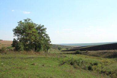 Ukraynalı Karpat Dağları'nın peyzaj