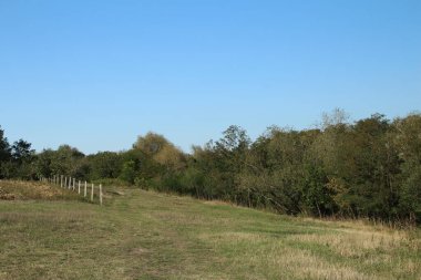 Ağaçlar ve ormanlarla dolu sonbahar manzarası