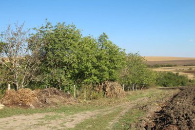 Kırsal kesimdeki yol..