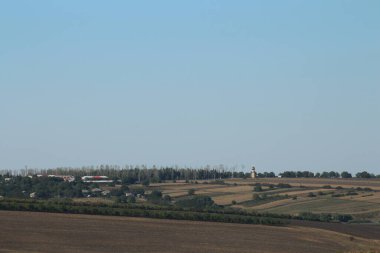 Buğday tarlası ve bulutlu kırsal alan
