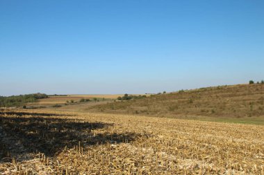 Doğanın güzel manzarası
