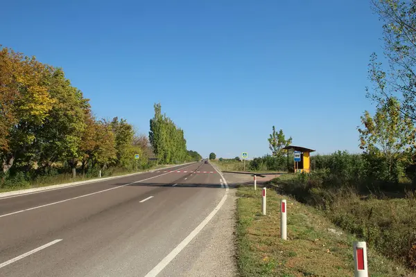 Yeşil ağaçlar olan yol