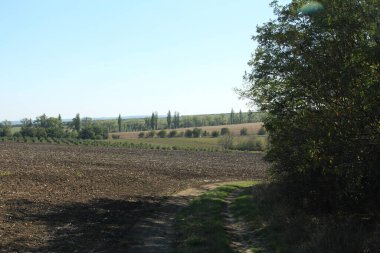 kırsal alanın manzarası, seçici odak