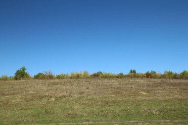 Sonbahar ağaçları, sonbahar bitkileri