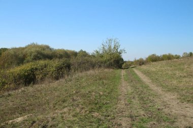 Tarlaya güzel manzara