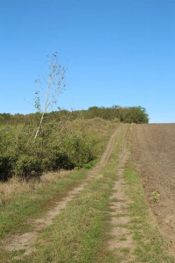 Kırsal bölgedeki toprak yol.