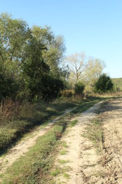 kırsal kesimde toprak yol