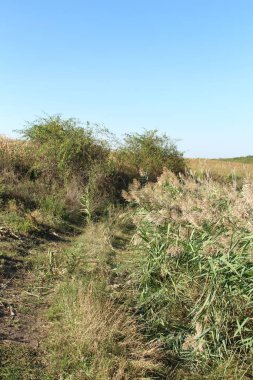Doğanın güzel manzarası