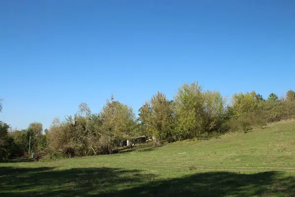 Yeşil bir tarlanın güzel bir görüntüsü.
