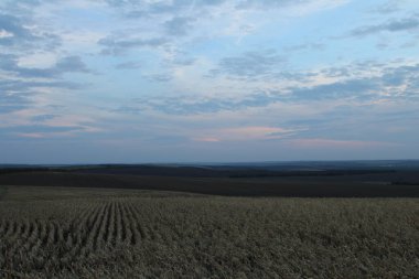 Tarlaların üzerinde gün batımı