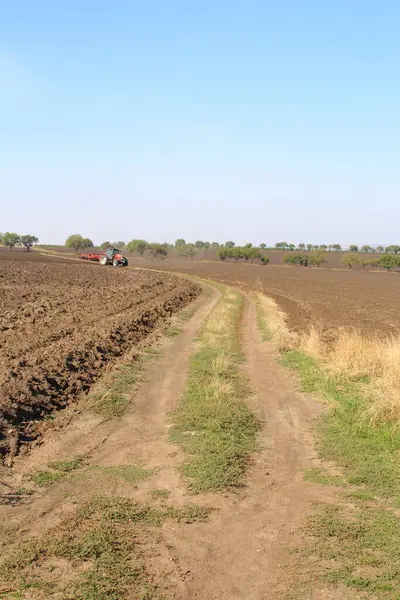 Buğday tarlası ve traktörü olan kırsal alan