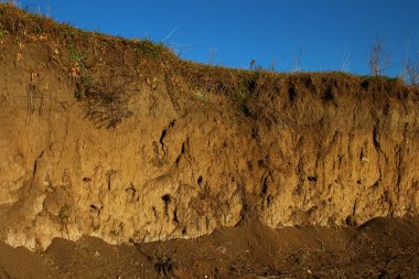 Doğanın güzel manzarası