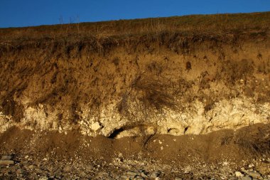 Kum tepelerinin manzarası