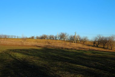 Bir çim ve ağaç tarlası.