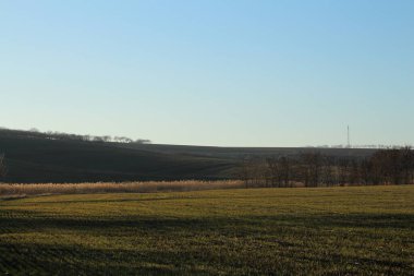 Yeşil çimenli ve ağaçlı bir manzara.