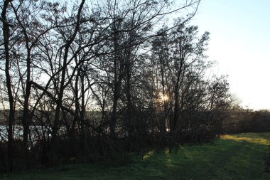 Güneşin ışınları ağaçların kıyısında ve nehirde, güneş suya yansıyor.