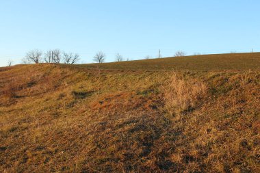 Sonbaharda kırsalda bir tepe.