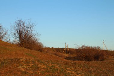 Ağacı ve tarlası olan güzel bir manzara.