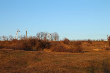 Ağaçlarla ve mavi gökyüzüyle sonbahar manzarası