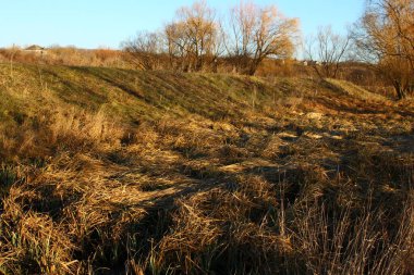 Bir nehir kıyısında kuru ot ve kuru sazlıklar.