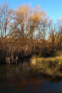 Doğal manzaranın güzel manzarası