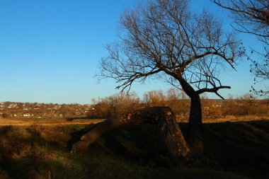 Doğanın güzel manzarası