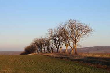 Doğanın güzel manzarası