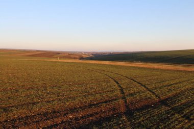 Büyük yeşil çimenleri olan güzel bir tarla manzarası