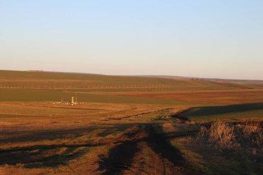 Çimen tarlası ve mavi gökyüzü olan güzel bir manzara.