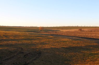 Tarlada güzel bir gün batımı
