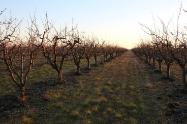 Doğanın güzel manzarası