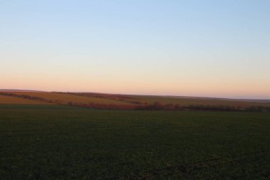 Sonbahar manzarası, tarlada ağaçlar ve çimenler, günbatımı gökyüzü.