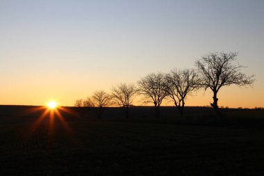 Sonbaharda boş bir tarlada gün batımı