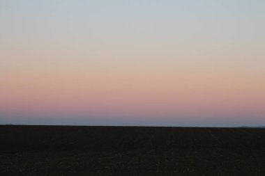 Buğday tarlasıyla gün batımının güzel bir görüntüsü.