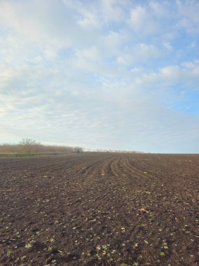 Kırsal manzarası çok güzel.