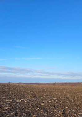 Mavi gökyüzü olan alan