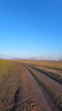 Doğanın güzel manzarası