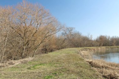 Baharın arka planındaki göl.
