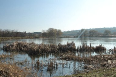 Ormanla çevrili küçük bir göl.