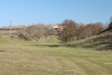 Parktaki güzel bahar manzarası