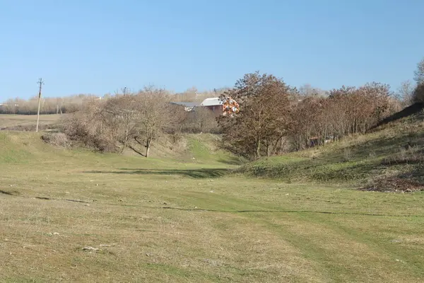 Parktaki güzel bahar manzarası