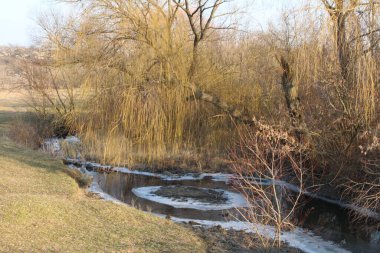 Nehirli bahar manzarası, parkta küçük bir nehir, dinlenme yeri..